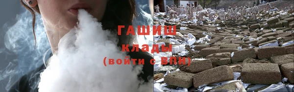 индика Каменка