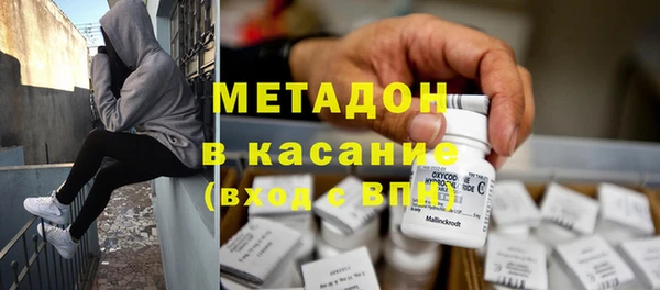 индика Каменка