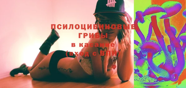 индика Каменка