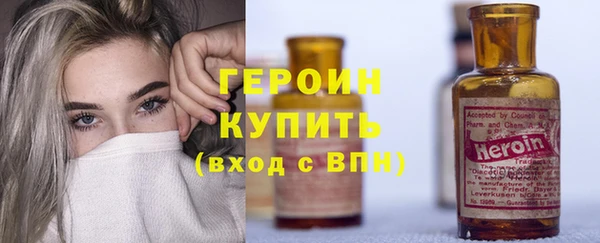 индика Каменка