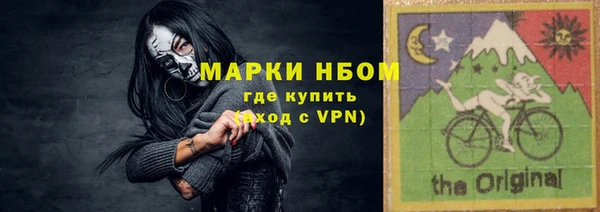 индика Каменка