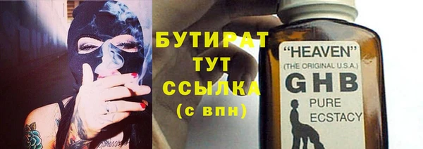 индика Каменка