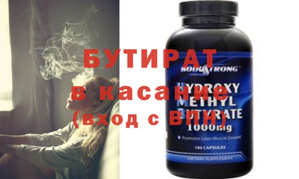индика Каменка