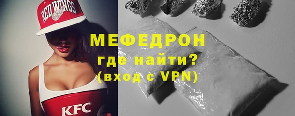 индика Каменка