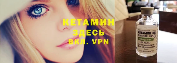 индика Каменка