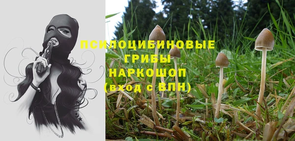 MDMA Premium VHQ Каменск-Шахтинский