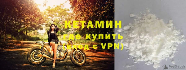 индика Каменка