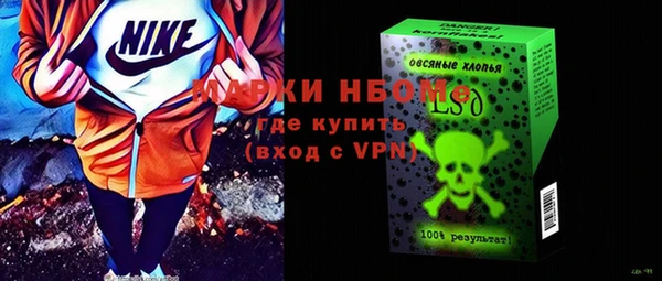 индика Каменка