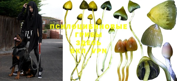 бутик Каменногорск
