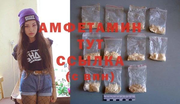 индика Каменка