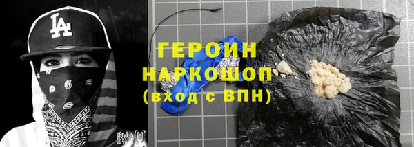 индика Каменка