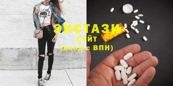 индика Каменка
