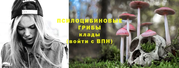 индика Каменка