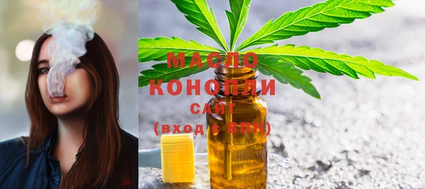 индика Каменка